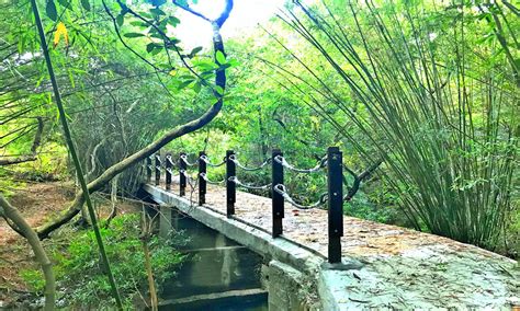 鄧惟汲|香港自遊樂在18區